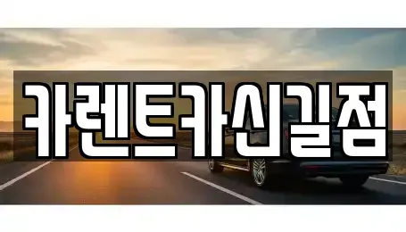 경기도 광명시 광명동 렌트카 전문 카렌트카신길점