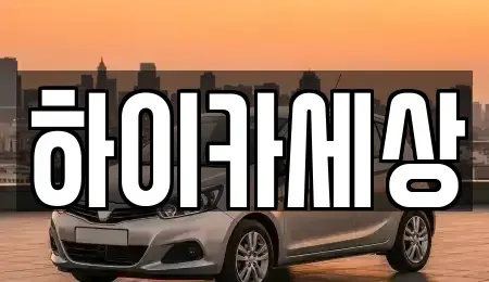경기도 광명시 광명동 렌트카 전문 하이카세상