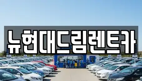 경기도 이천시 장록동 렌트카 전문 뉴현대드림렌트카