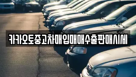 경기도 이천시 장록동 중고차 전문 카카오토중고차매입매매수출판매시세