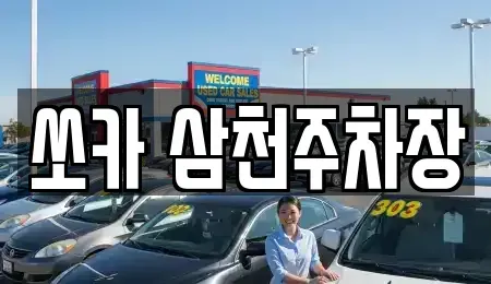 경남 밀양시 상남면 렌트카 전문 쏘카 삼천주차장