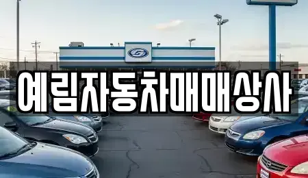 경남 밀양시 상남면 중고차,렌트카,중고차매입,중고차매매,장기렌트카,단기렌트카