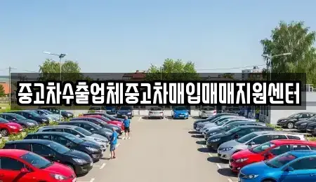 경남 창원시 마산합포구 대외동 중고차 전문 중고차수출업체중고차매입매매지원센터