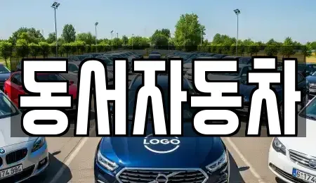 경북 경산시 사정동 중고차매매 전문 동서자동차