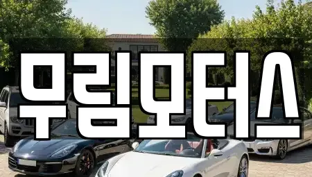 경북 경산시 사정동 중고차매매 전문 무림모터스