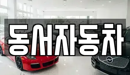 경북 경산시 서상동 중고차 전문 동서자동차