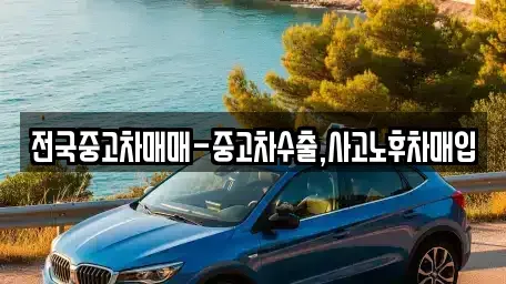 경북 경산시 서상동 중고차 전문 전국중고차매매-중고차수출,사고노후차매입