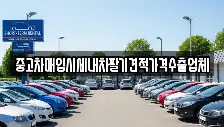 경북 경산시 서상동 중고차매입 전문 중고차매입시세내차팔기견적가격수출업체