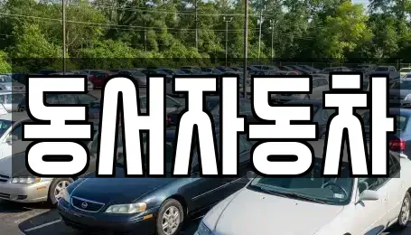 경북 고령군 개진면 중고차 전문 동서자동차