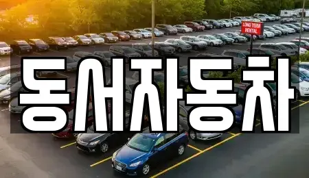 경북 고령군 우곡면 중고차 전문 동서자동차