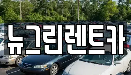 경북 성주군 선남면 렌트카 전문 뉴그린렌트카