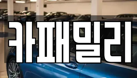 경북 성주군 선남면 중고차매매,단기렌트카,중고차매입,장기렌트카,중고차,렌트카