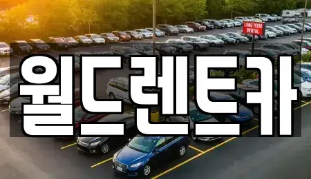 경북 안동시 태화동 렌트카 전문 월드렌트카