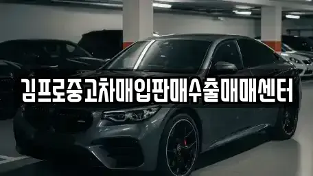 경상남도 진주시 계동 중고차 전문 김프로중고차매입판매수출매매센터