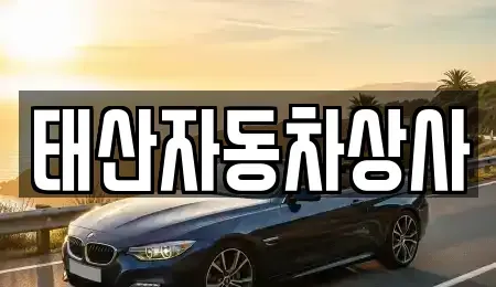 경상남도 진주시 집현면 단기렌트카,중고차매입,중고차매매,중고차,렌트카,장기렌트카