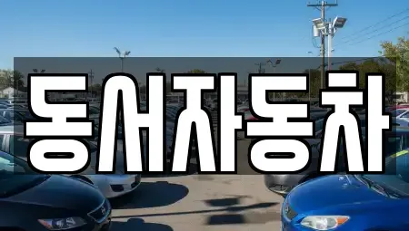 경상남도 창원시 성산구 토월동 중고차 전문 동서자동차