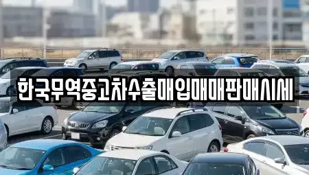 경상남도 창원시 성산구 토월동 중고차 전문 한국무역중고차수출매입매매판매시세