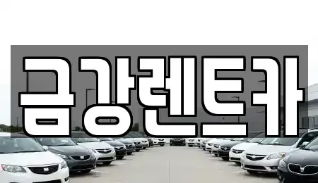 경상북도 청도군 화양읍 렌트카 전문 금강렌트카