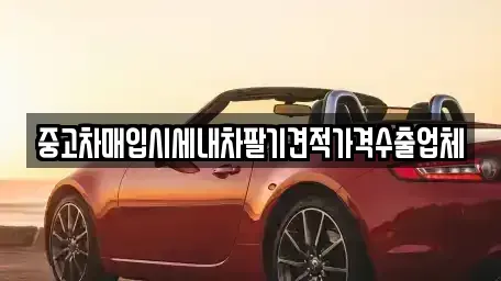 경상북도 청도군 화양읍 중고차매입 전문 중고차매입시세내차팔기견적가격수출업체