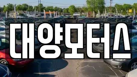 광주 동구 장동 중고차 전문 대양모터스