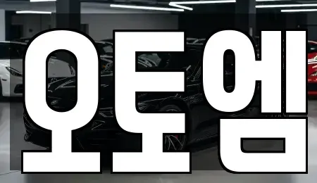 광주광역시 광산구 산정동 중고차 전문 오토엠