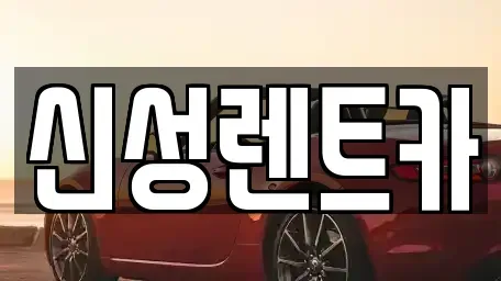 광주광역시 서구 금호동 렌트카 전문 신성렌트카