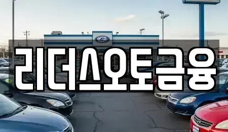 대구 중구 달성동 장기렌트카 전문 리더스오토금융