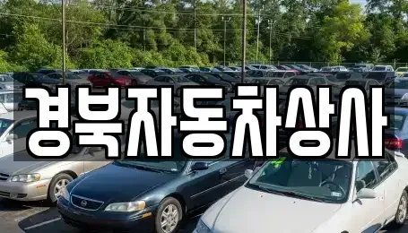 대구 중구 달성동 중고차 전문 경북자동차상사