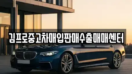 대구 중구 달성동 중고차 전문 김프로중고차매입판매수출매매센터