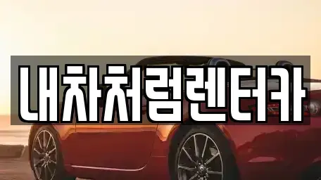 대구 중구 문화동 렌트카 전문 내차처럼렌터카