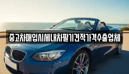 대구 중구 문화동 중고차매입 전문 중고차매입시세내차팔기견적가격수출업체