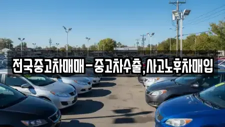 대전 동구 구도동 중고차매입 전문 전국중고차매매-중고차수출,사고노후차매입