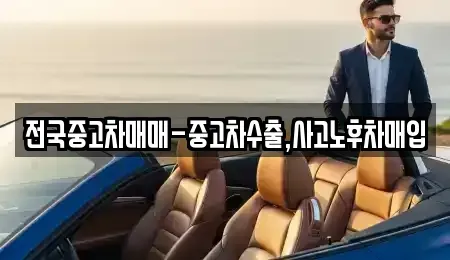 부산 중구 남포동6가 중고차 전문 전국중고차매매-중고차수출,사고노후차매입