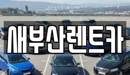 부산광역시 중구 중앙동6가 렌트카 전문 새부산렌트카