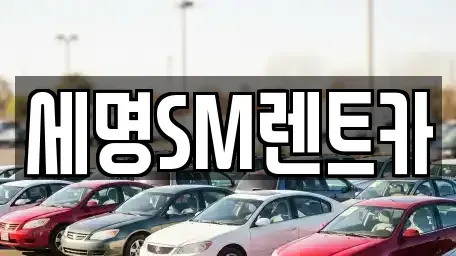 부산광역시 중구 중앙동6가 렌트카 전문 세명SM렌트카