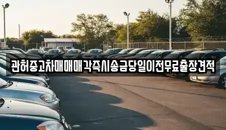 서울 영등포구 문래동1가 중고차 전문 관허중고차매매매각즉시송금당일이전무료출장견적