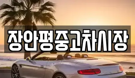 서울 종로구 와룡동 중고차매매 전문 장안평중고차시장