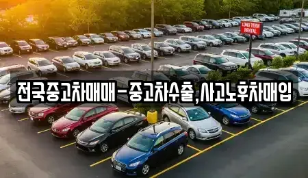 서울 중구 남대문로3가 중고차매입 전문 전국중고차매매-중고차수출,사고노후차매입
