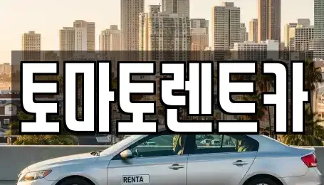 서울특별시 강동구 강일동 렌트카 전문 토마토렌트카