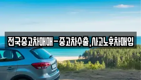 서울특별시 강동구 강일동 중고차 전문 전국중고차매매-중고차수출,사고노후차매입