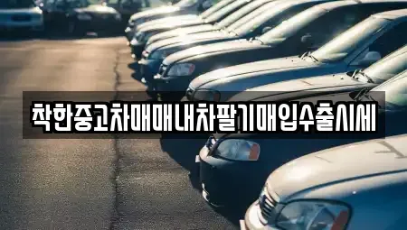 서울특별시 강동구 강일동 중고차 전문 착한중고차매매내차팔기매입수출시세