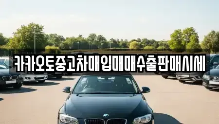 서울특별시 마포구 용강동 중고차 전문 카카오토중고차매입매매수출판매시세