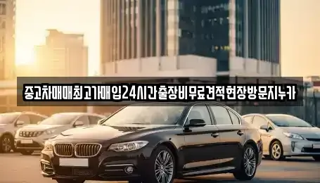 서울특별시 마포구 용강동 중고차매입 전문 중고차매매최고가매입24시간출장비무료견적현장방문지누카