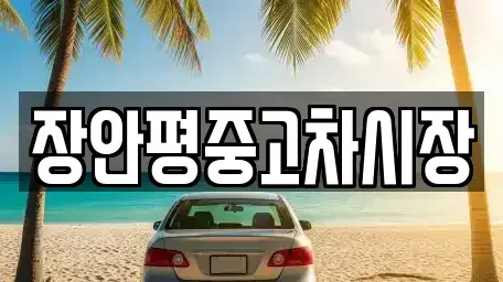 서울특별시 성동구 상왕십리동 중고차 전문 장안평중고차시장