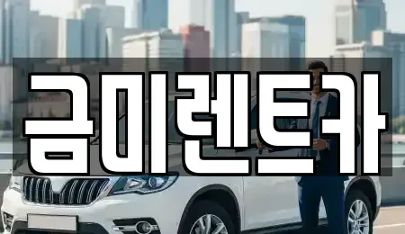 서울특별시 영등포구 당산동1가 렌트카 전문 금미렌트카