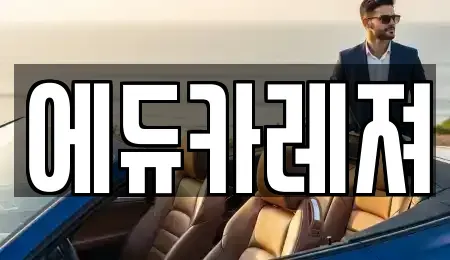 서울특별시 은평구 수색동 렌트카 전문 에듀카레져