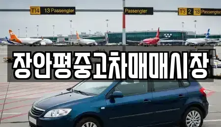 서울특별시 은평구 수색동 중고차 전문 장안평중고차매매시장