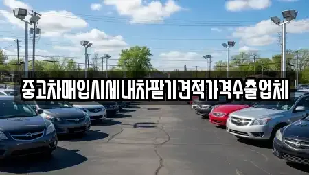 서울특별시 은평구 수색동 중고차매입 전문 중고차매입시세내차팔기견적가격수출업체