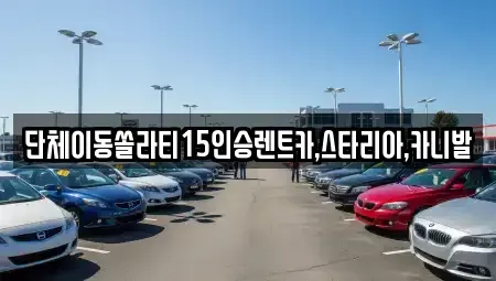 서울특별시 종로구 권농동 렌트카 전문 단체이동쏠라티15인승렌트카,스타리아,카니발