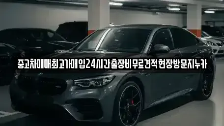 서울특별시 종로구 권농동 중고차 전문 중고차매매최고가매입24시간출장비무료견적현장방문지누카